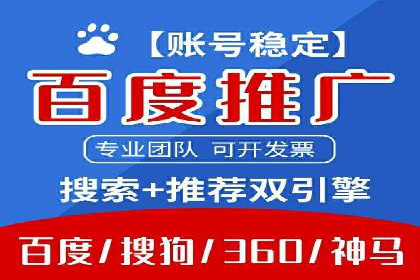 百度竞价广告投放全解析：成功案例揭秘